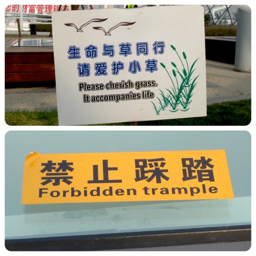 I call dibs on "Forbidden Trample" as the name for my next heavy metal band.