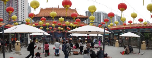 Even on an overcast day, a riot of color. And really, that's the only good kind of riot.