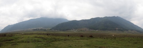 Black Crane Valley